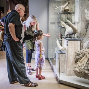 Ferienveranstaltung – Mit Oma und Opa auf Zeitreise ins Museum @ Museum Für Ur- und Frühgeschichte Thüringens