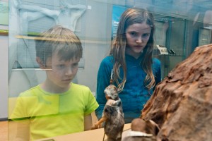 Ferienführung und Workshop für Grundschulkinder – „Spieglein, Spieglein an der Wand...“ @ Museum Für Ur- und Frühgeschichte Thüringens