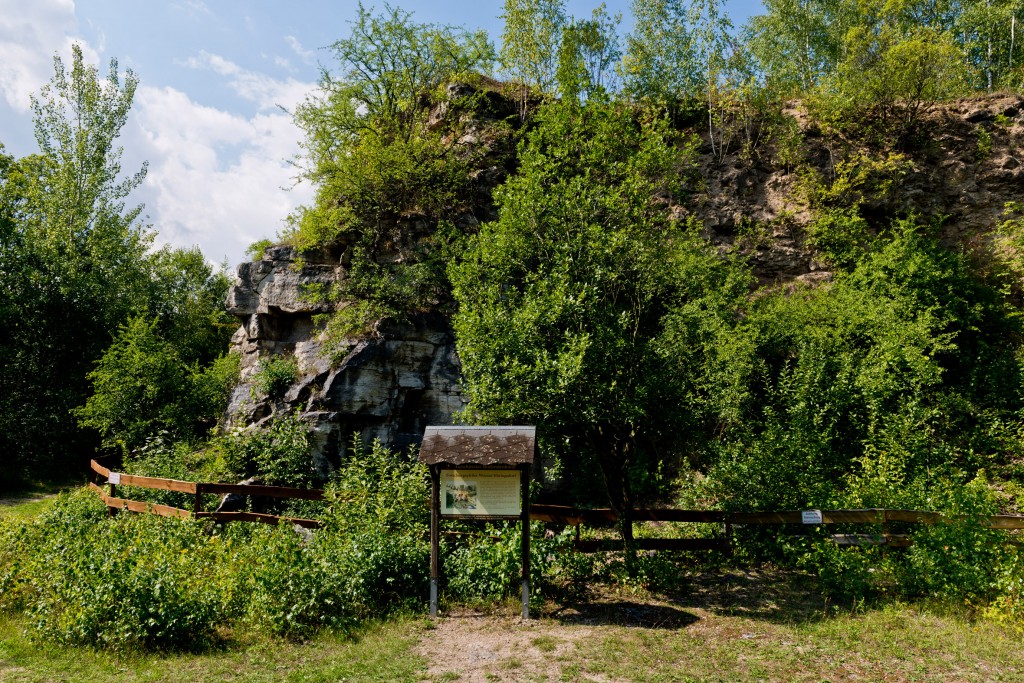 Wanderung zu den Neandertalerfundplätzen im Ilmtal @ Treffpunkt: Museum für Ur- und Frühgeschichte Thüringens