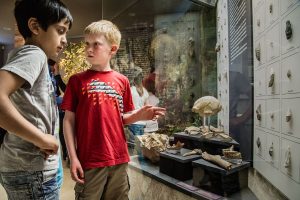 Ferienveranstaltung – Tatort Museum: Auf den Spuren erster Menschen in Thüringen @ Museum Für Ur- und Frühgeschichte Thüringens