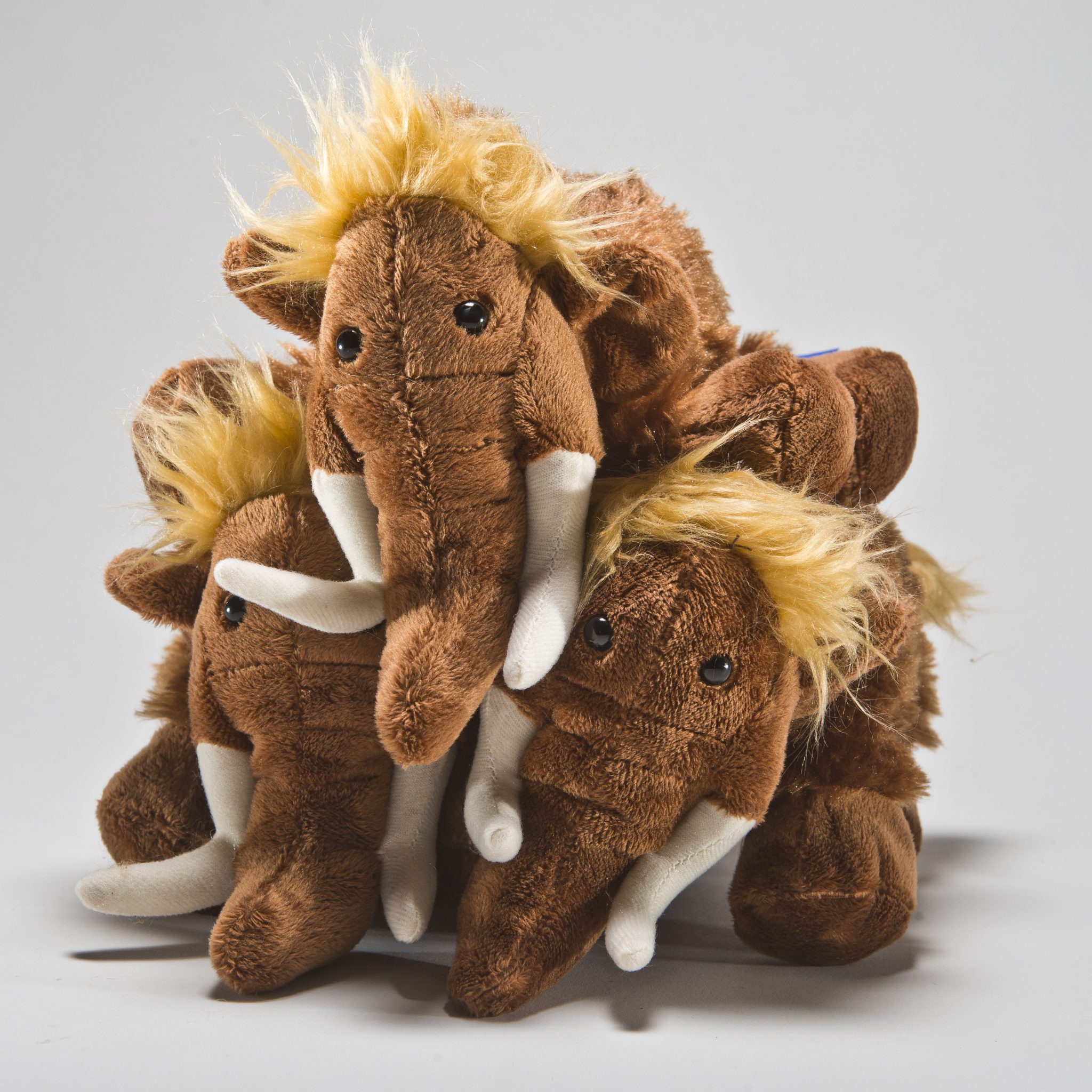 Noch Auf Der Suche Nach Dem Passenden Weihnachtsgeschenk ?