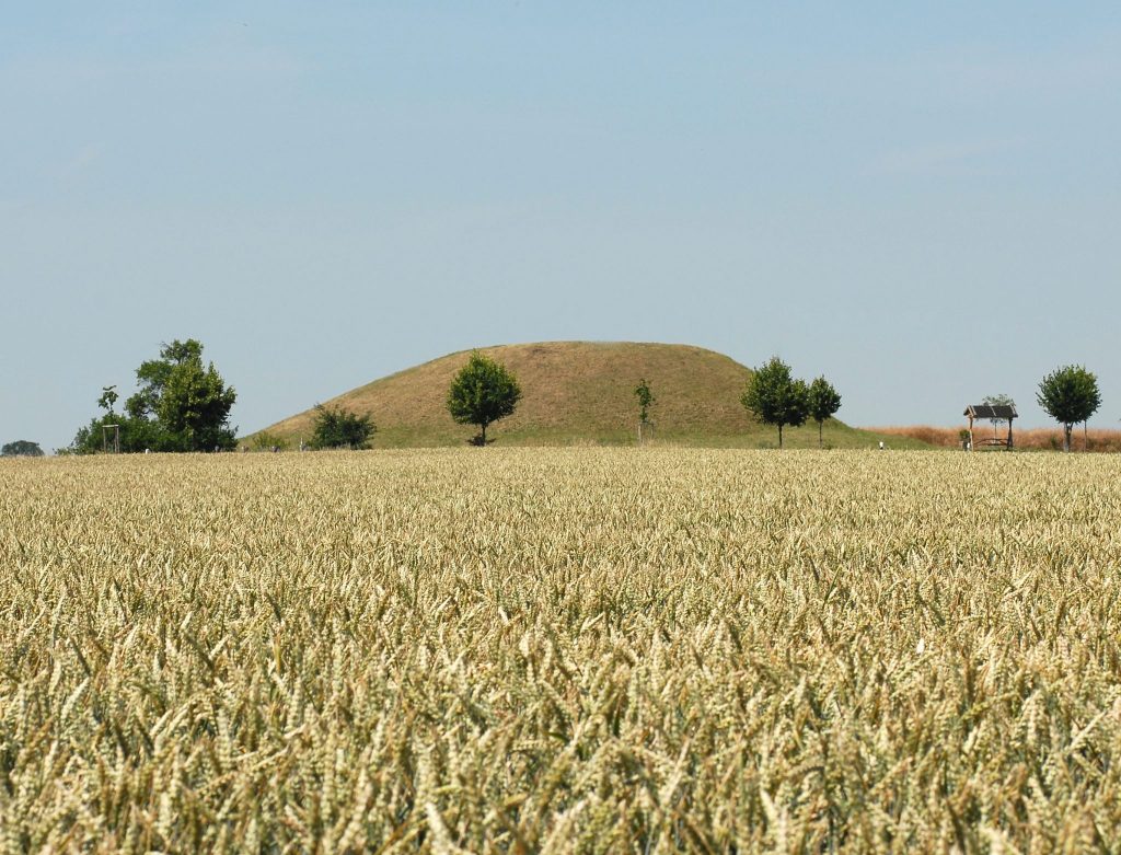 Abendvortrag - Von Bauern und „Fürsten“ – Entdeckungen der letzten Jahre im Umfeld des frühbronzezeitlichen Großgrabhügels von Leubingen @ Museum Für Ur- und Frühgeschichte Thüringens (Vortragssaal, Eingang Amalienstraße)