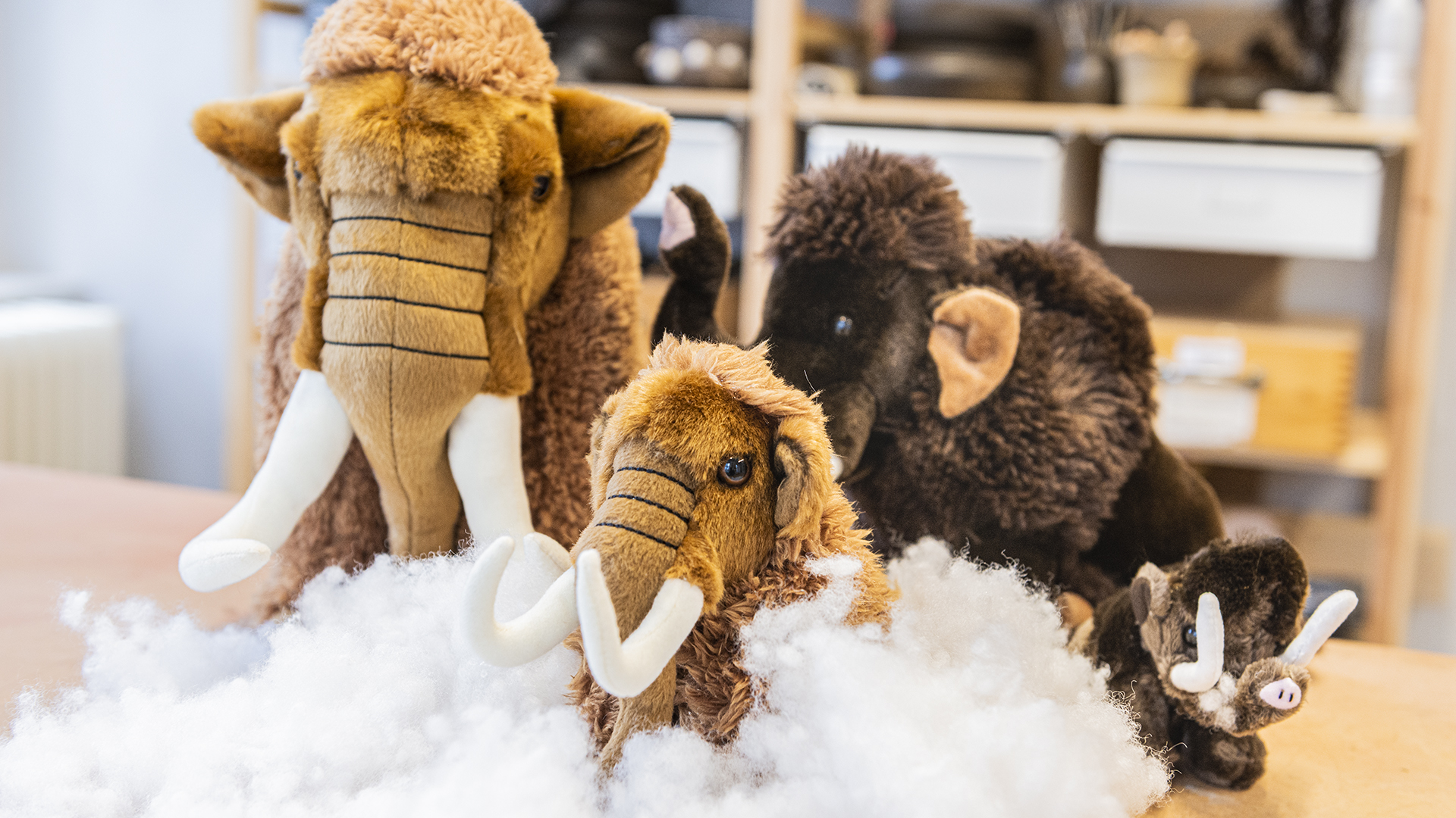 Kuschelmammuts sind auf Stopfwolle drapiert. Sie sollen die Kreativaktion Mammutausstopfen veranschaulichen.